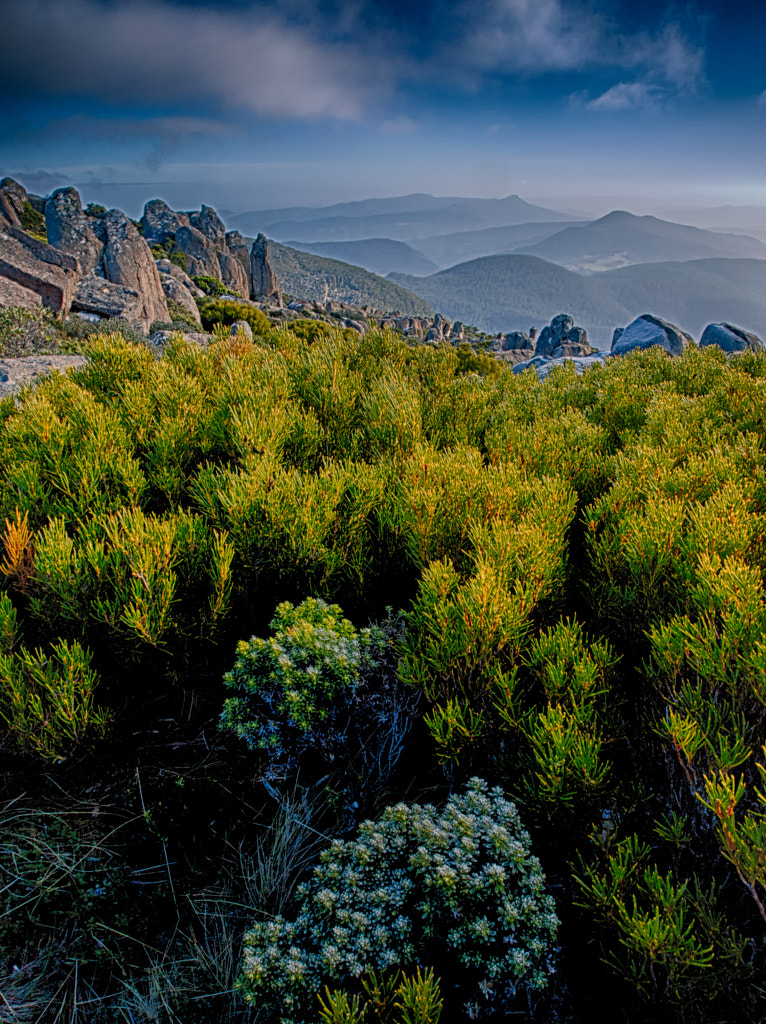 Mount Wellinton, by Paul Amyes on 500px.com