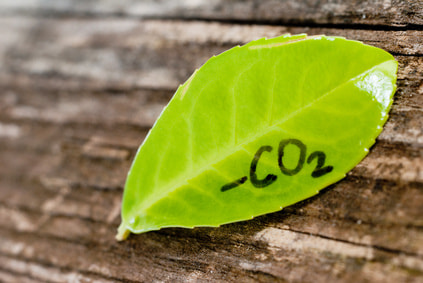 corporate social responsibility
