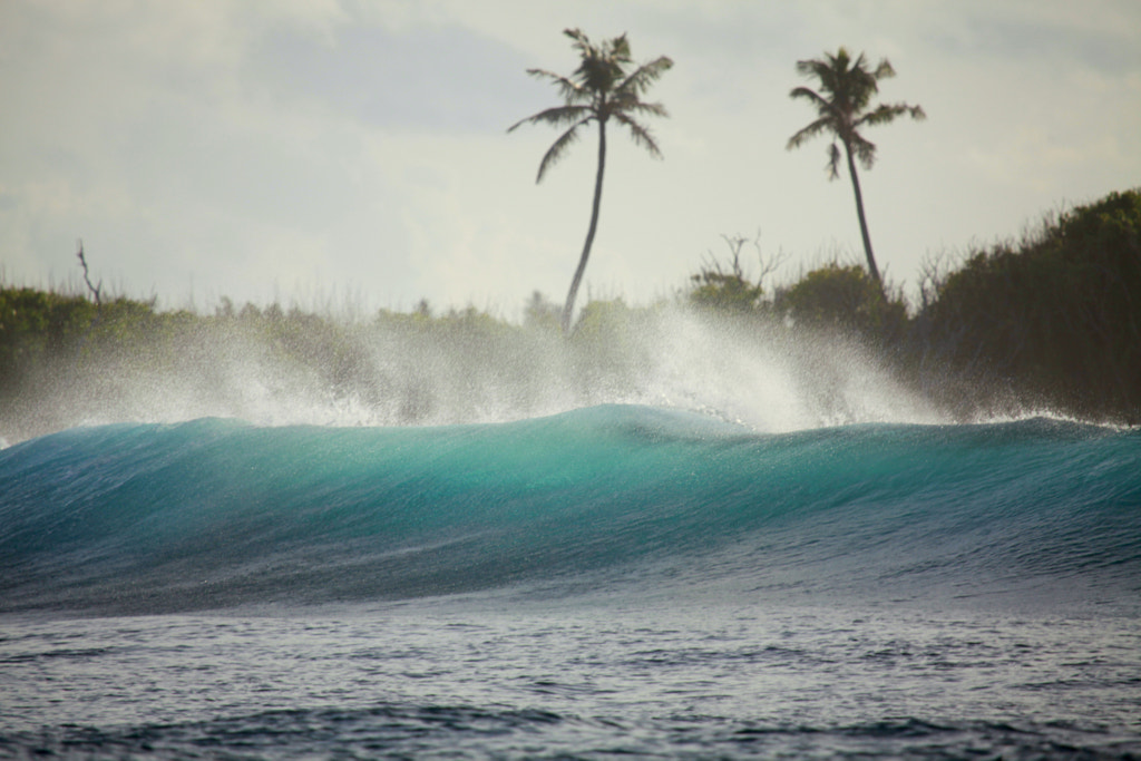 maldivian wave by Tania Elisarieva on 500px.com - Surf en Maldivas