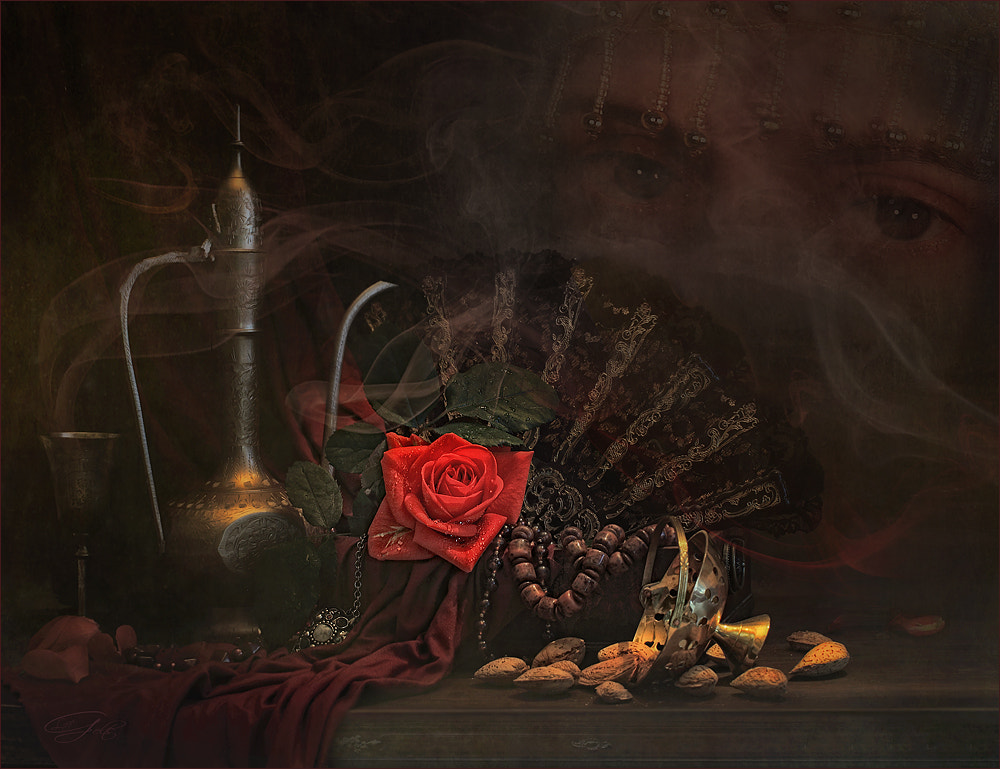 The bitterness of almonds,   Luiza  Gelts -     500px.com