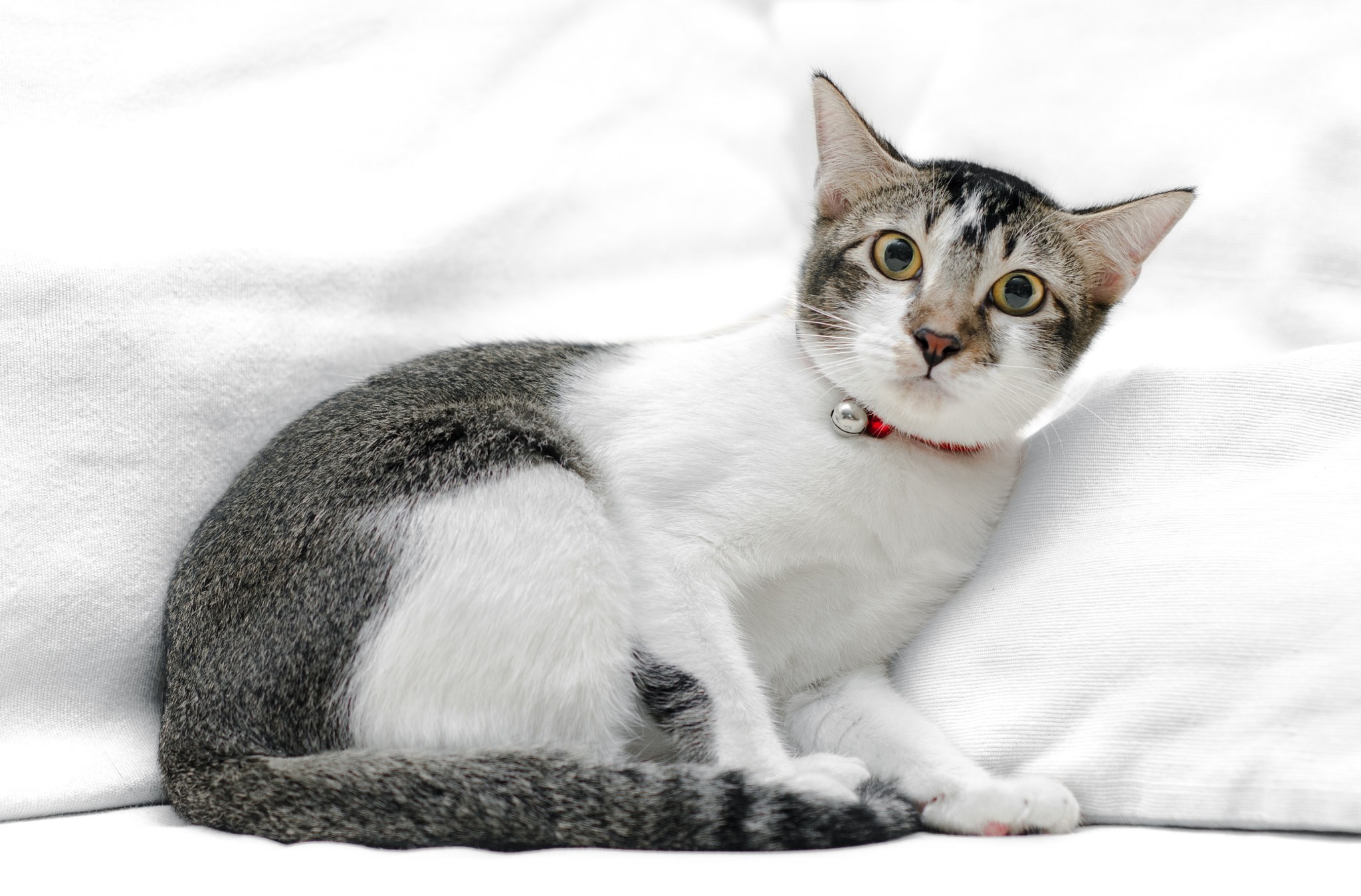 v2?sig=3516d1557317085af9c66622fc412929e5499526e4446b3bfbe2e5b748081545