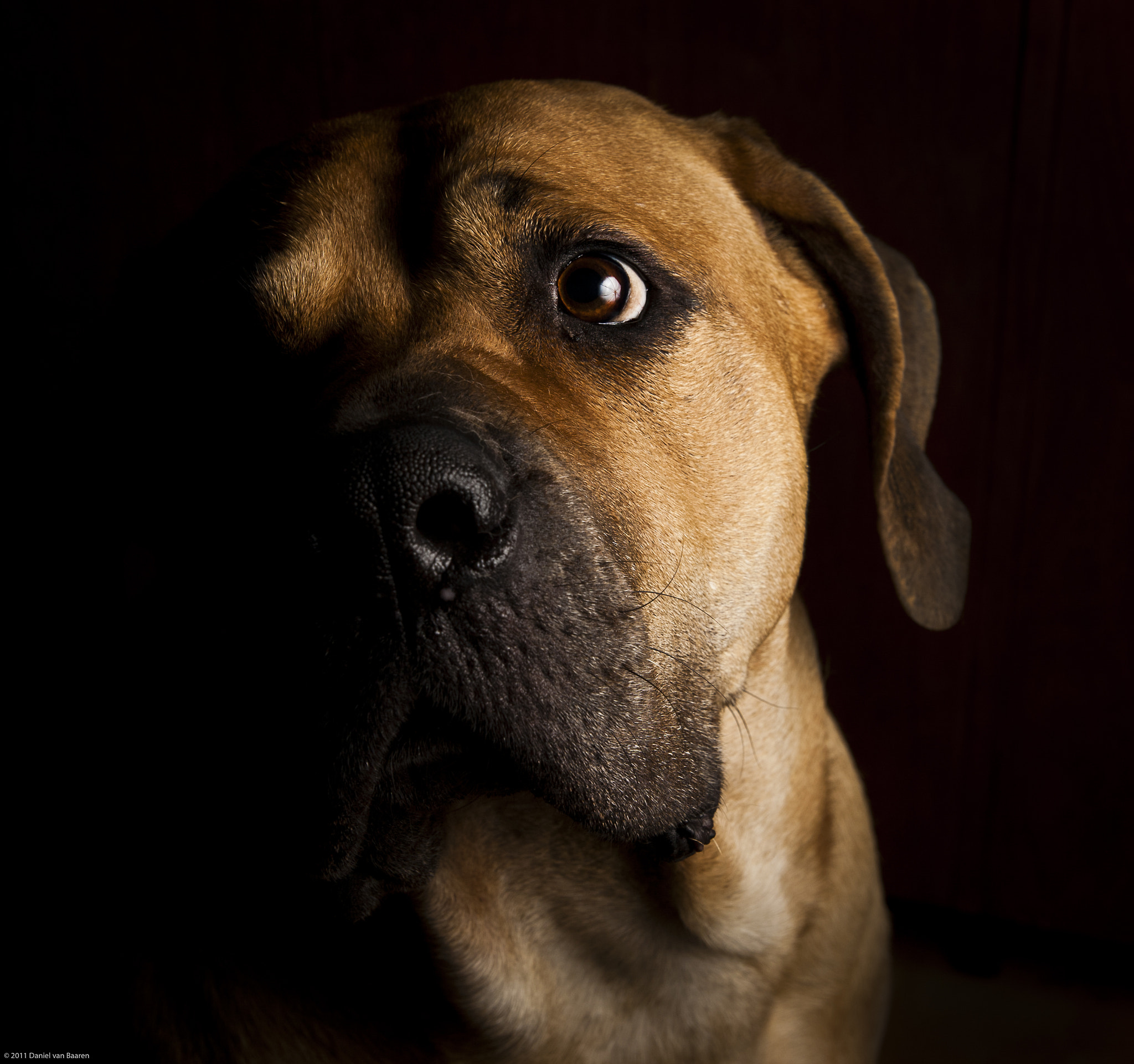 v2?sig=57ea3c8fb2c45be884fe5d2af165210cf89ff61590f55fe65c5010ada7c92d45