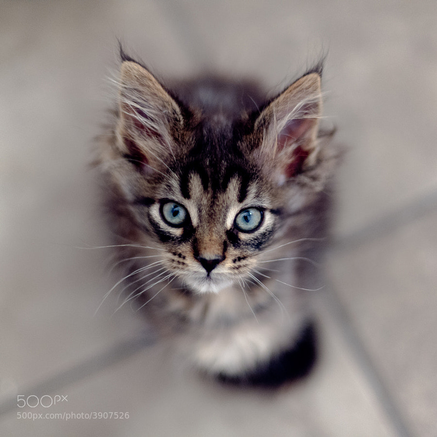 Yes by Brooke Pennington