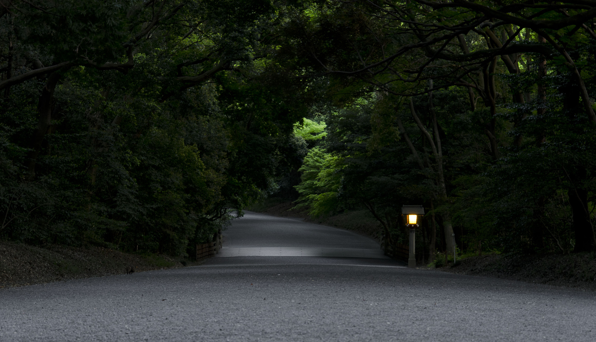 Harajuku park