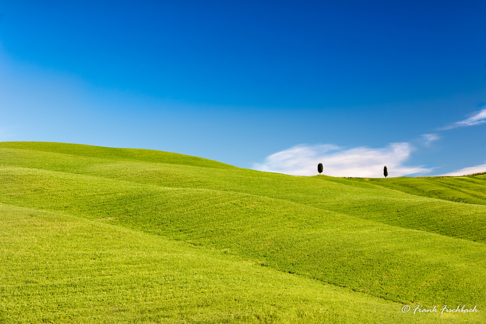 Rolling hills with trees and blue skies, Tuscany, Italy by Frank ...