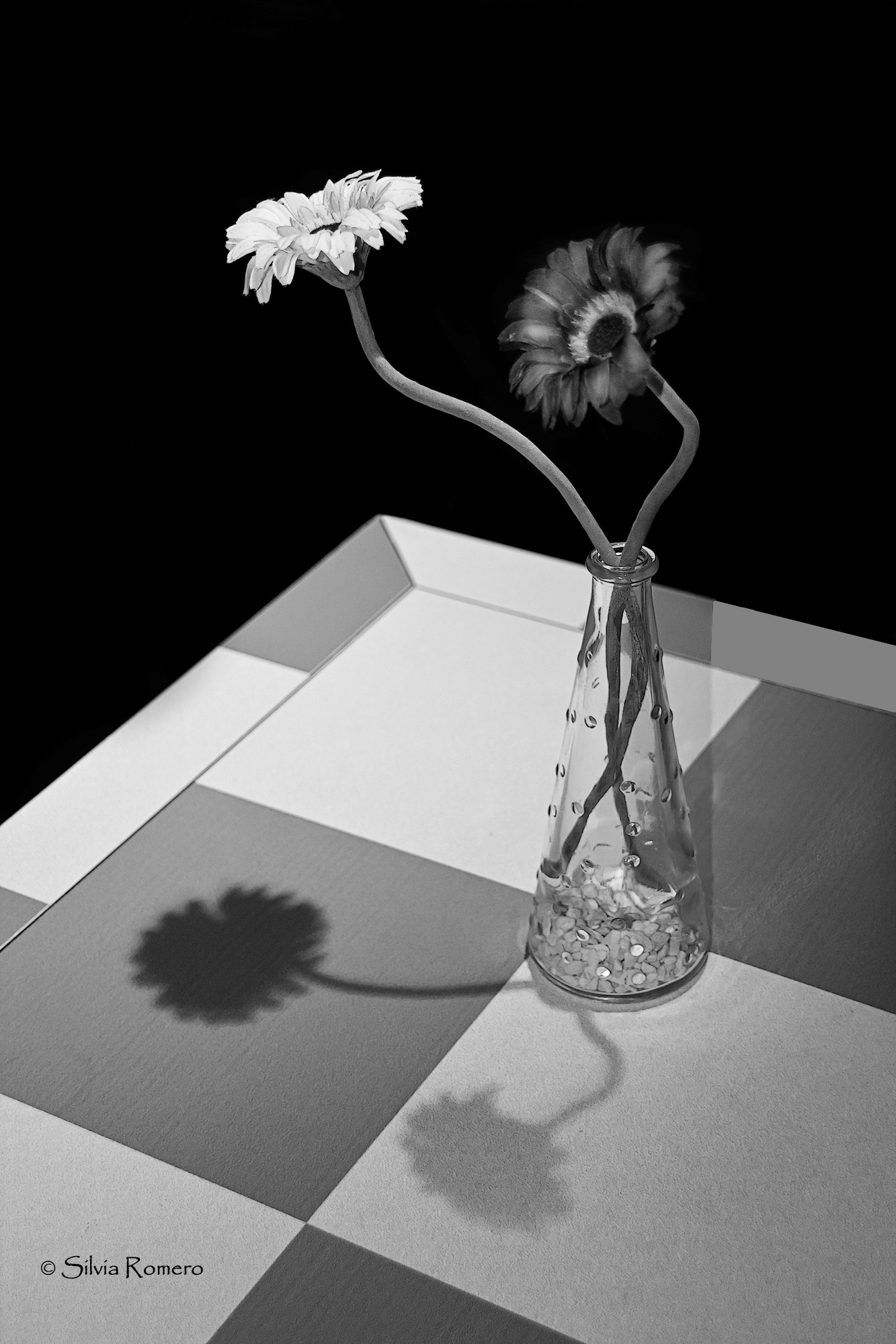 Sombras