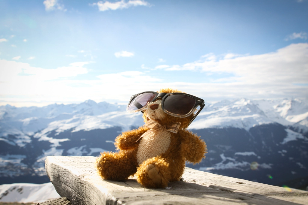 Teddy's having a rest by Markus Erne on 500px.com