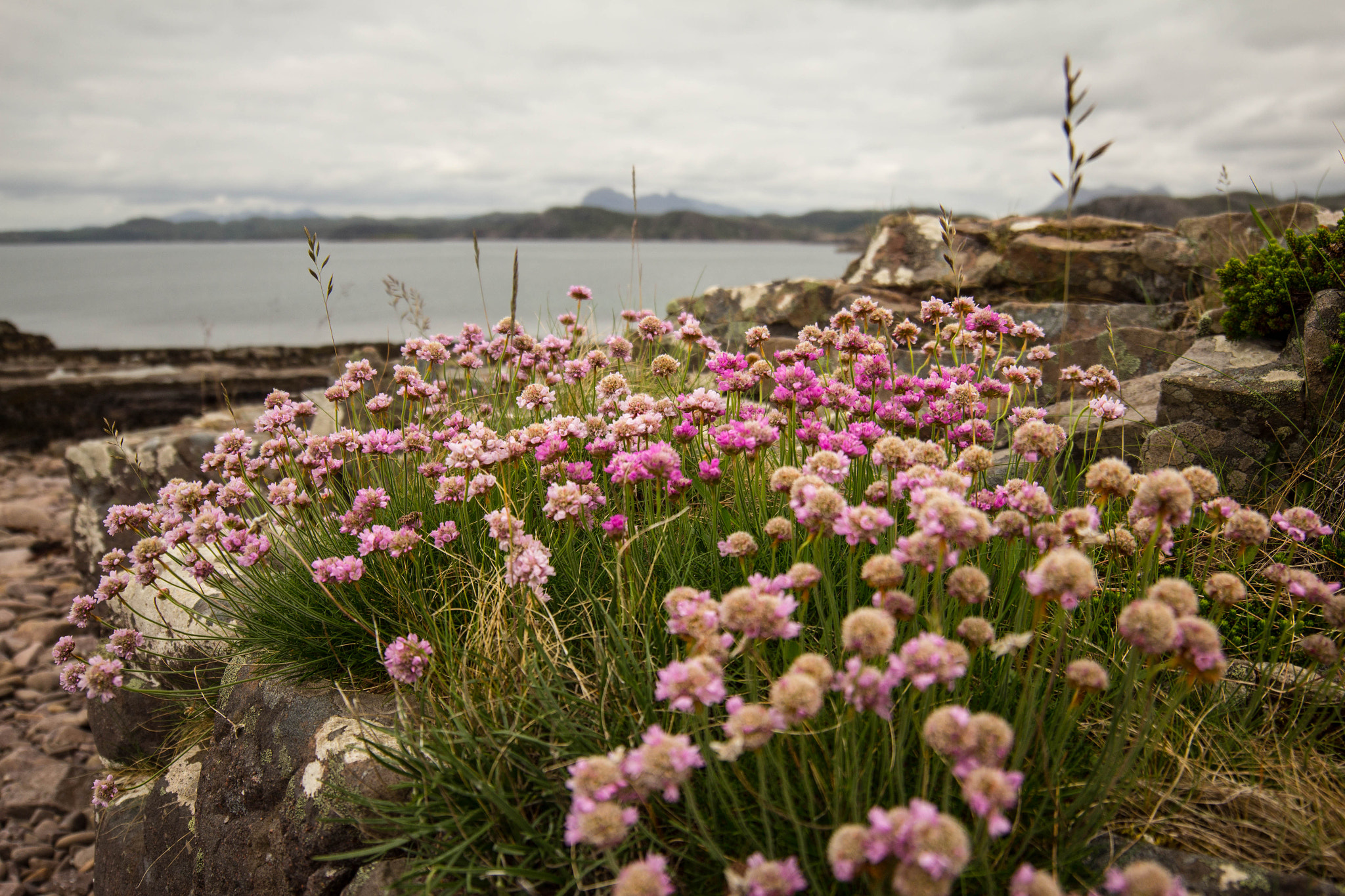 Beautiful colours on a moody day!