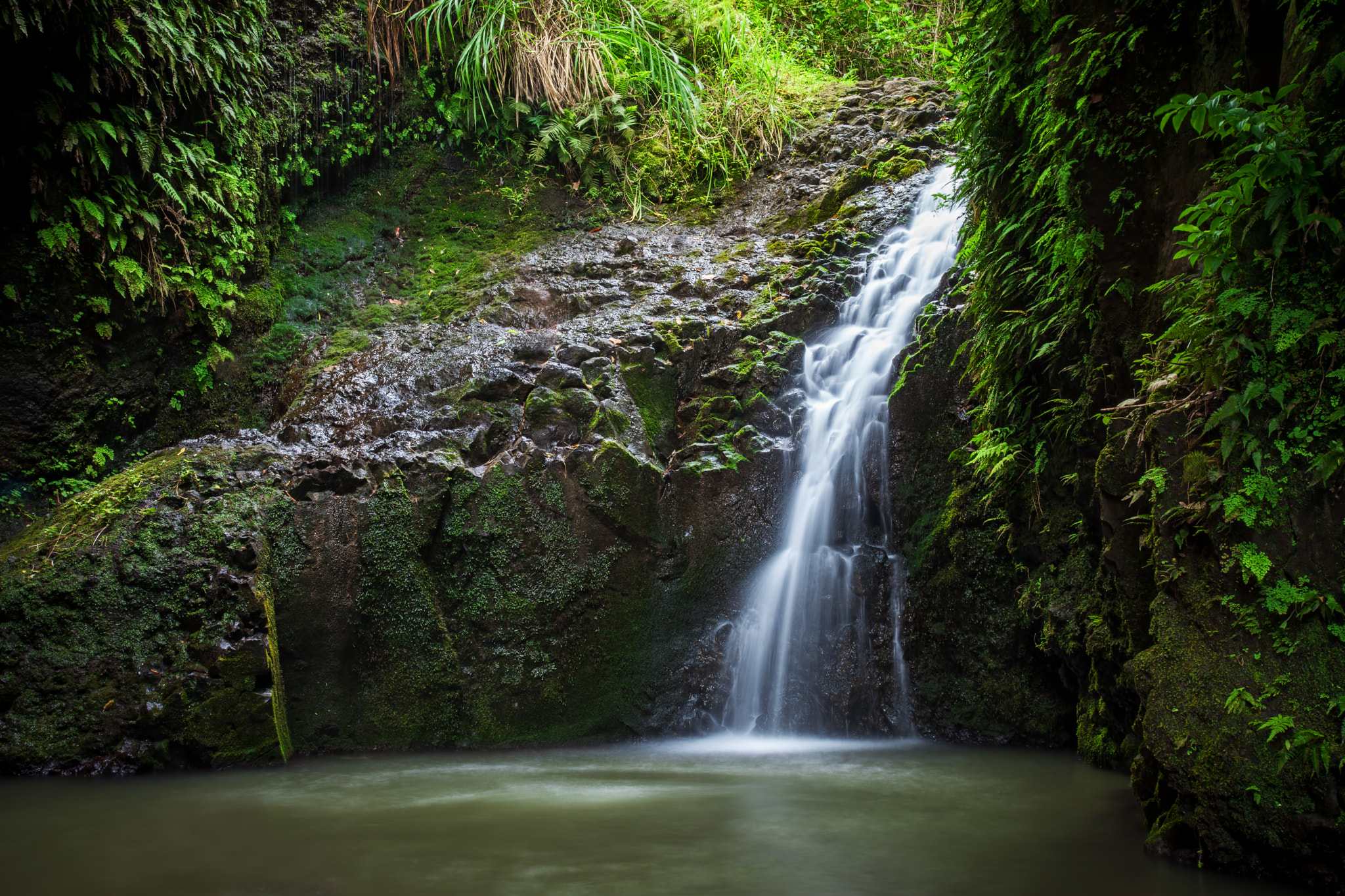 Maunawili Falls by Ryan Wells / 500px
