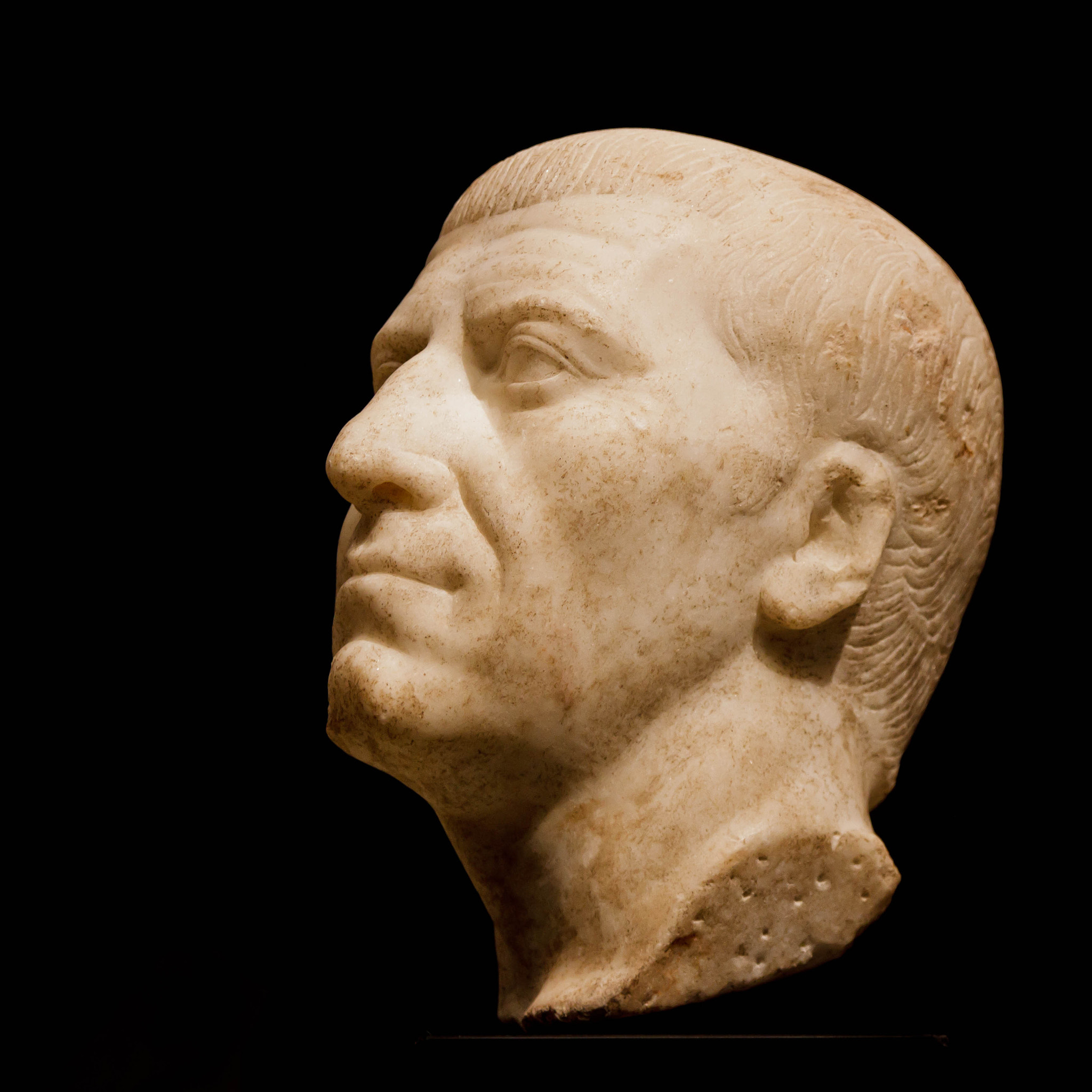 Portrait of Gnaeus Domitius Corbulo or of Caius Cassius L by Dave