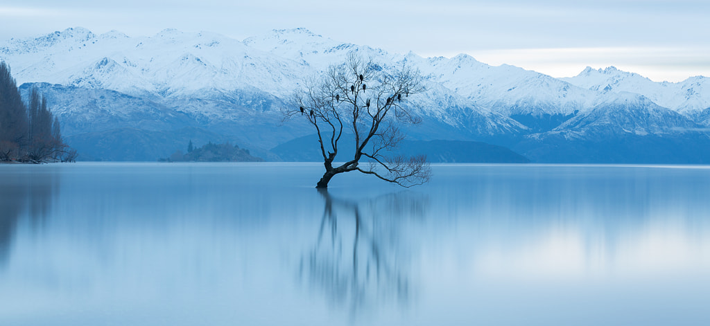 Paisaje Fotográfico