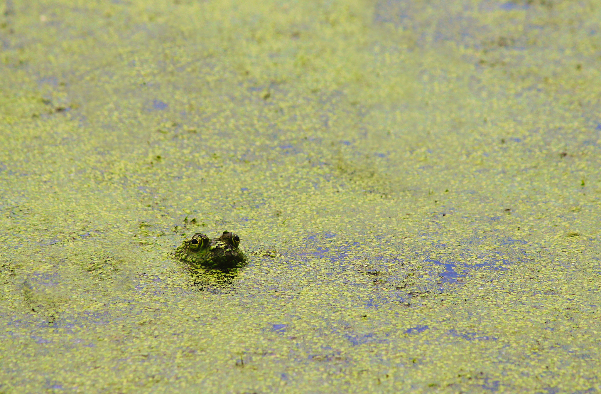 Submerged In Negative Space