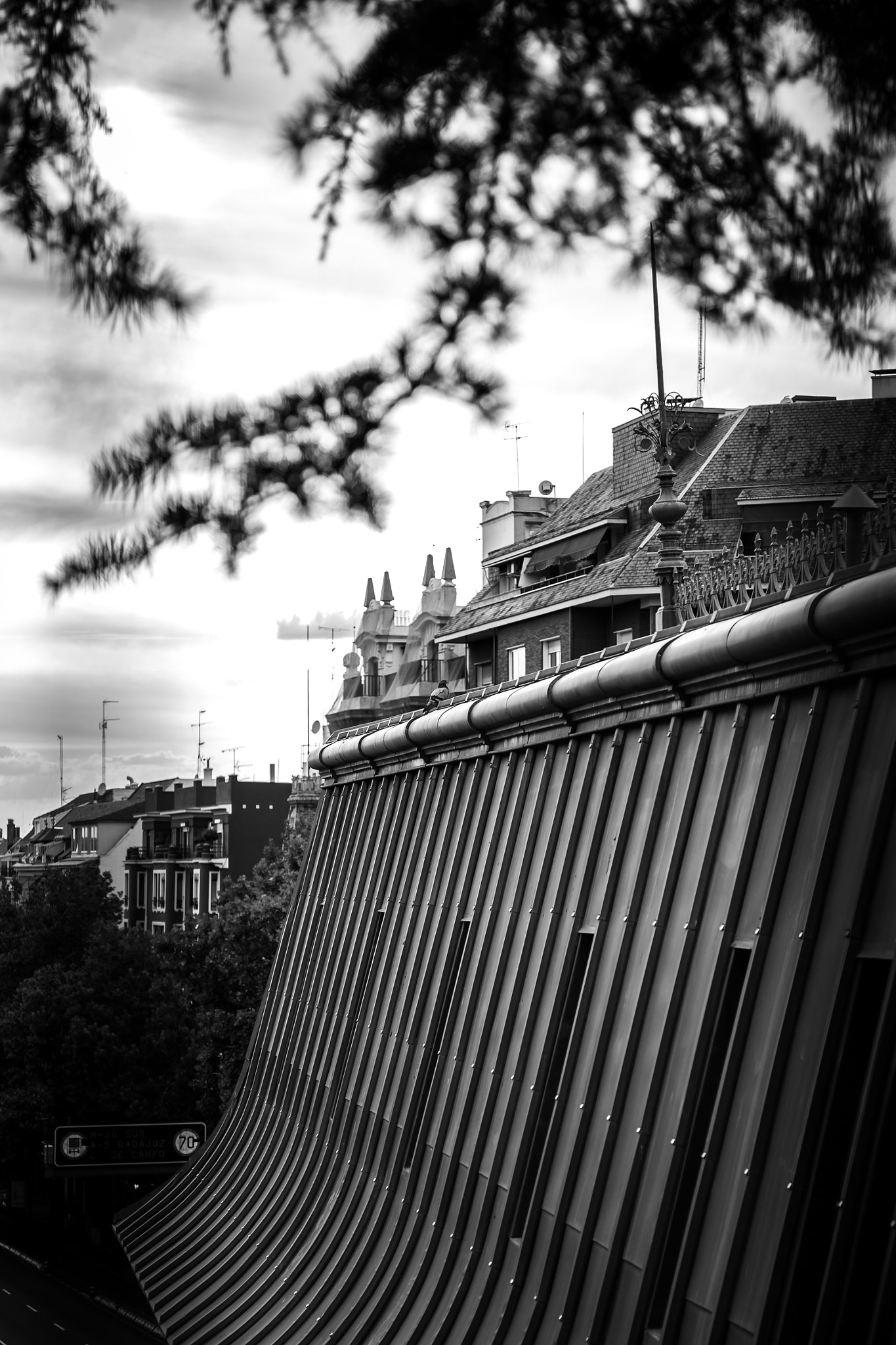 Madrid roofs