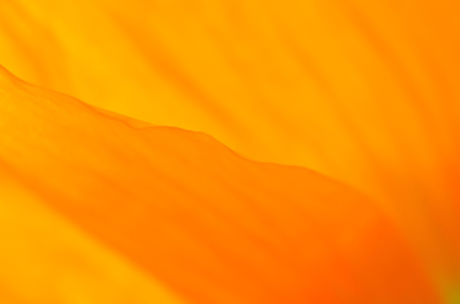 v2?sig=74290d9b25248d4f1a8285aa6d8d6d25b5d8dd922caa1f1bfddb226b0e3bc8a6