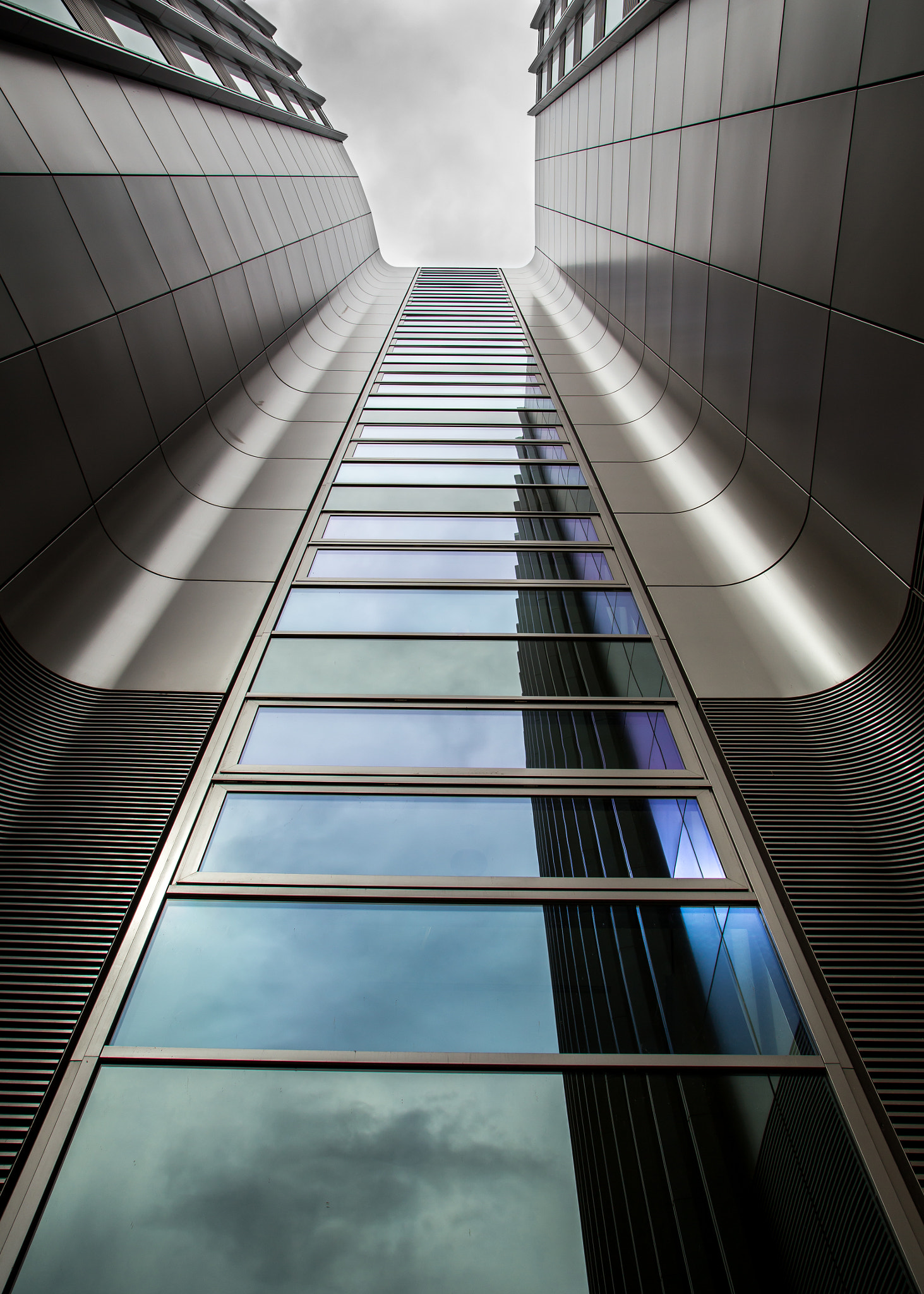 ernst & young