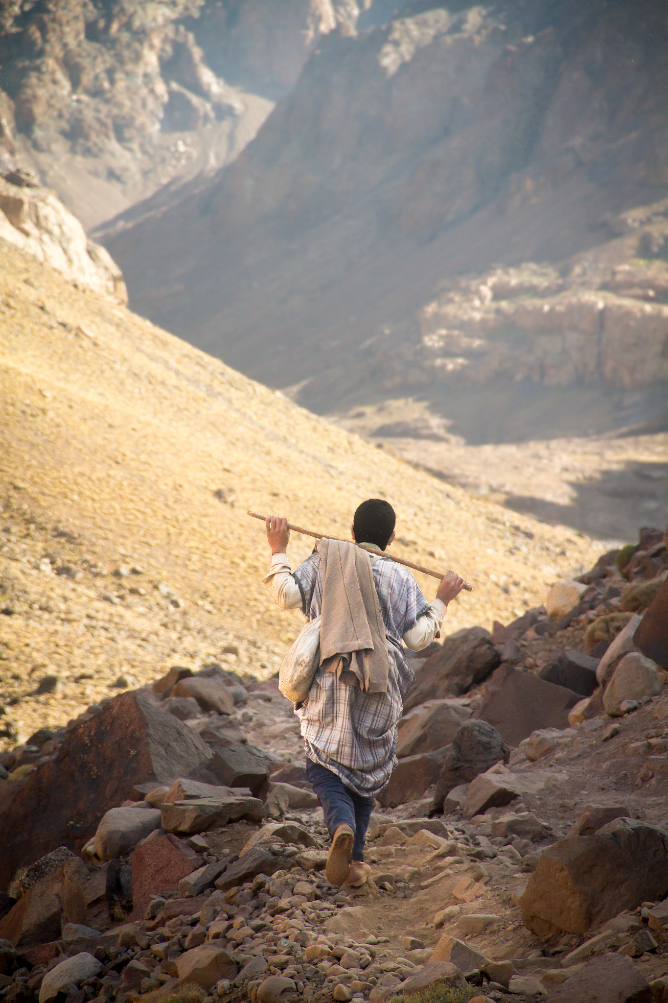 The Berber Goatherd