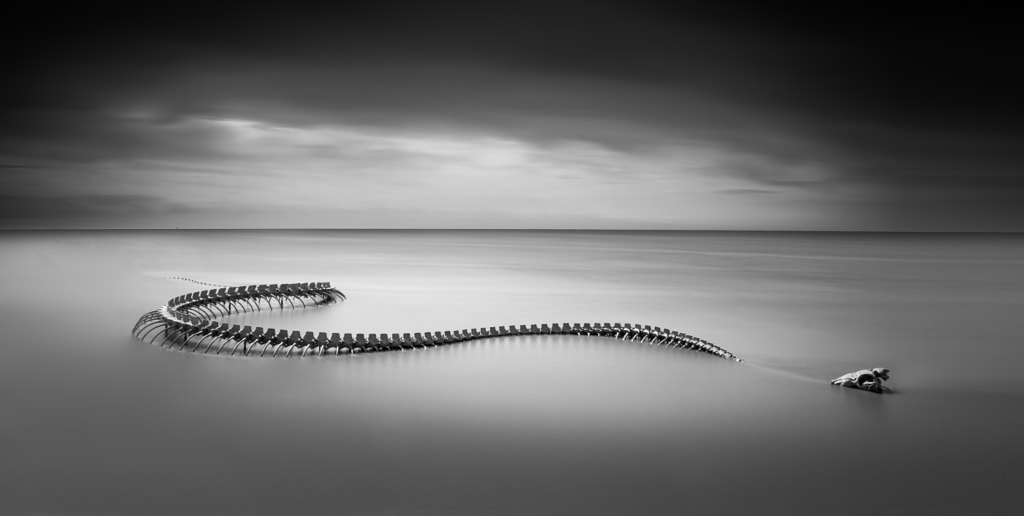 Serpent d'Océan, автор — Emmanuel LE GUELLEC на 500px.com