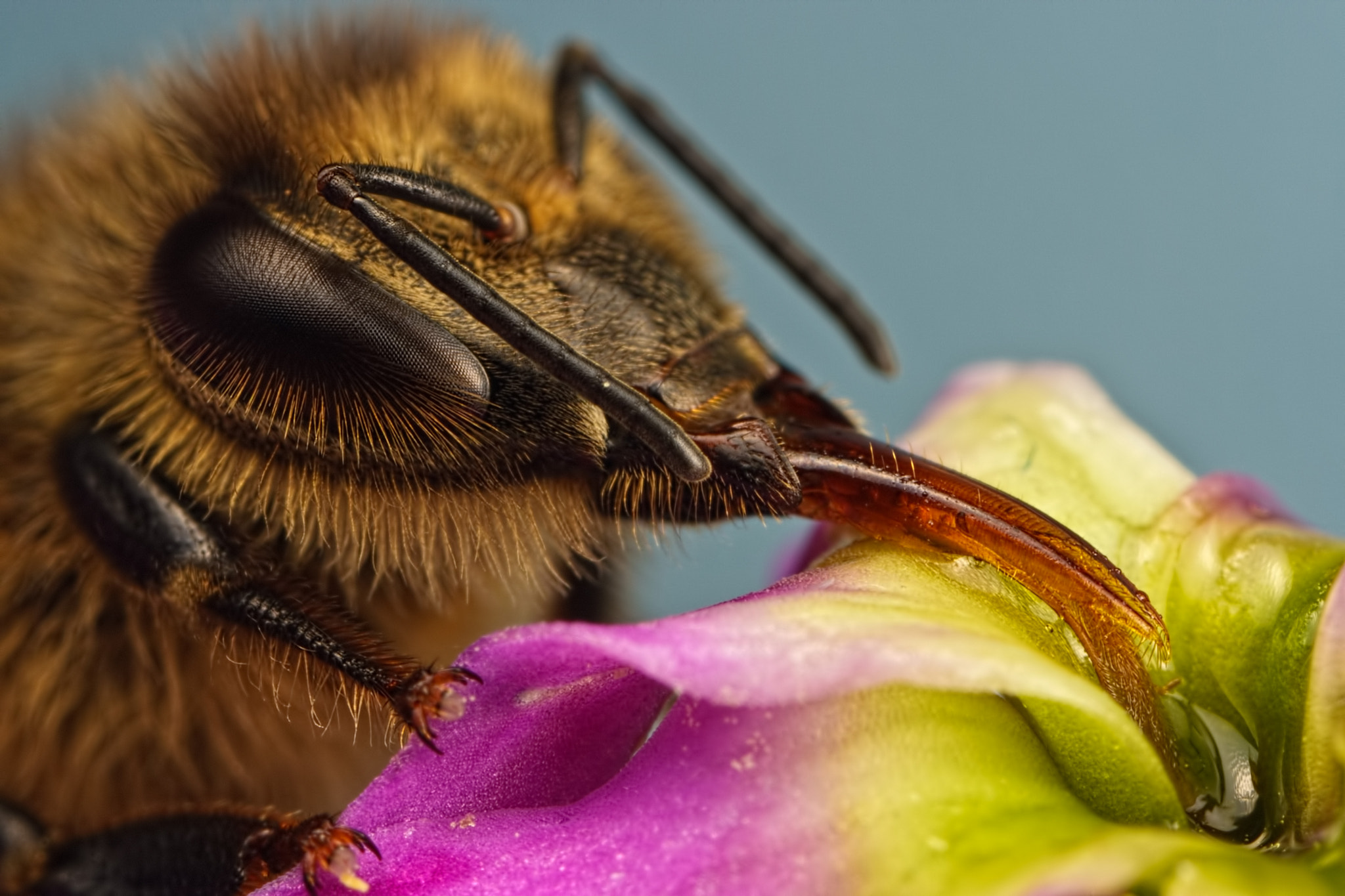 Working in a Wallflower