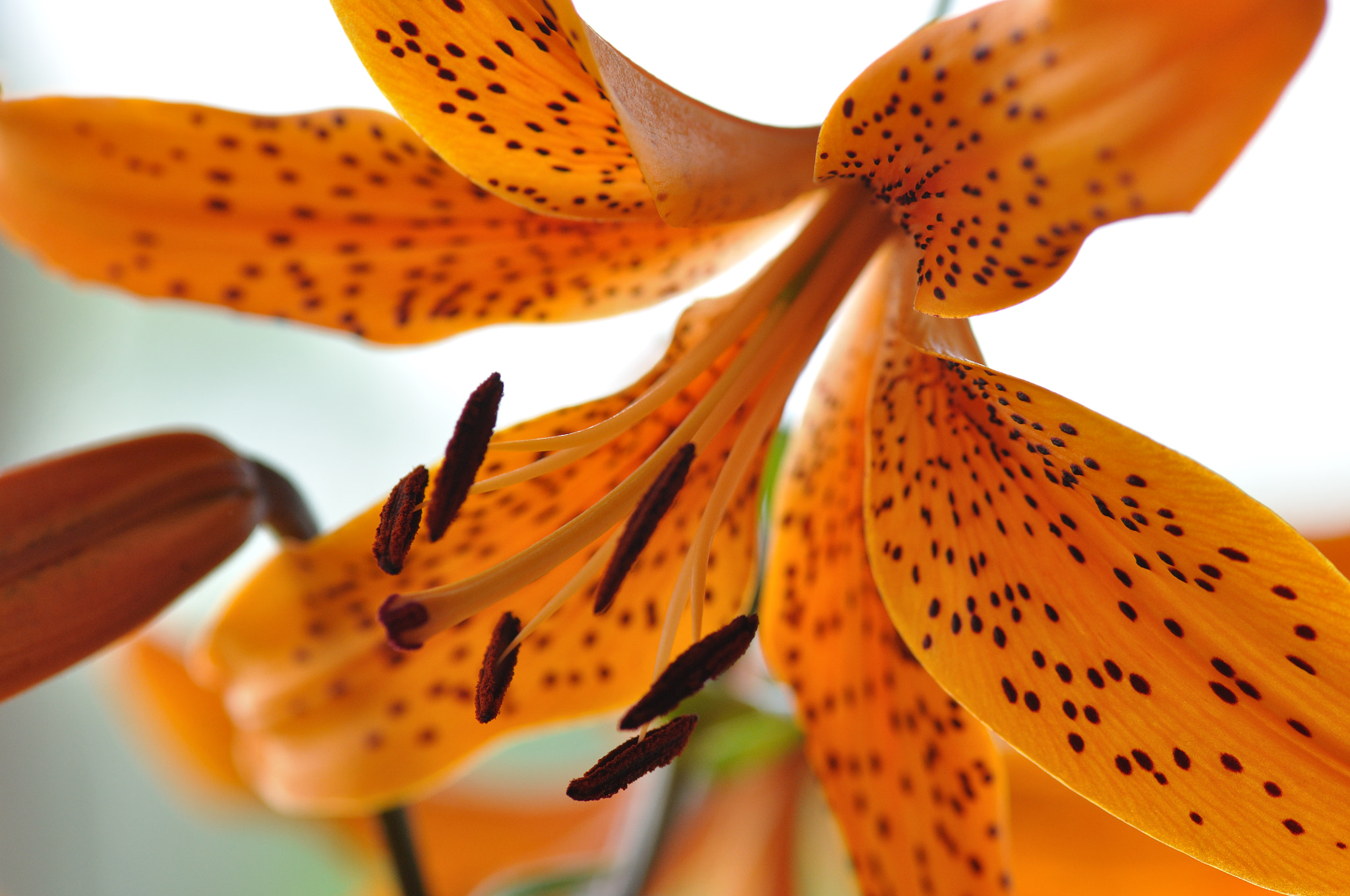 v2?sig=d4cef0f893990c54f254c4f45a808b62b1ff3cd395f235b3d8545468ea548983