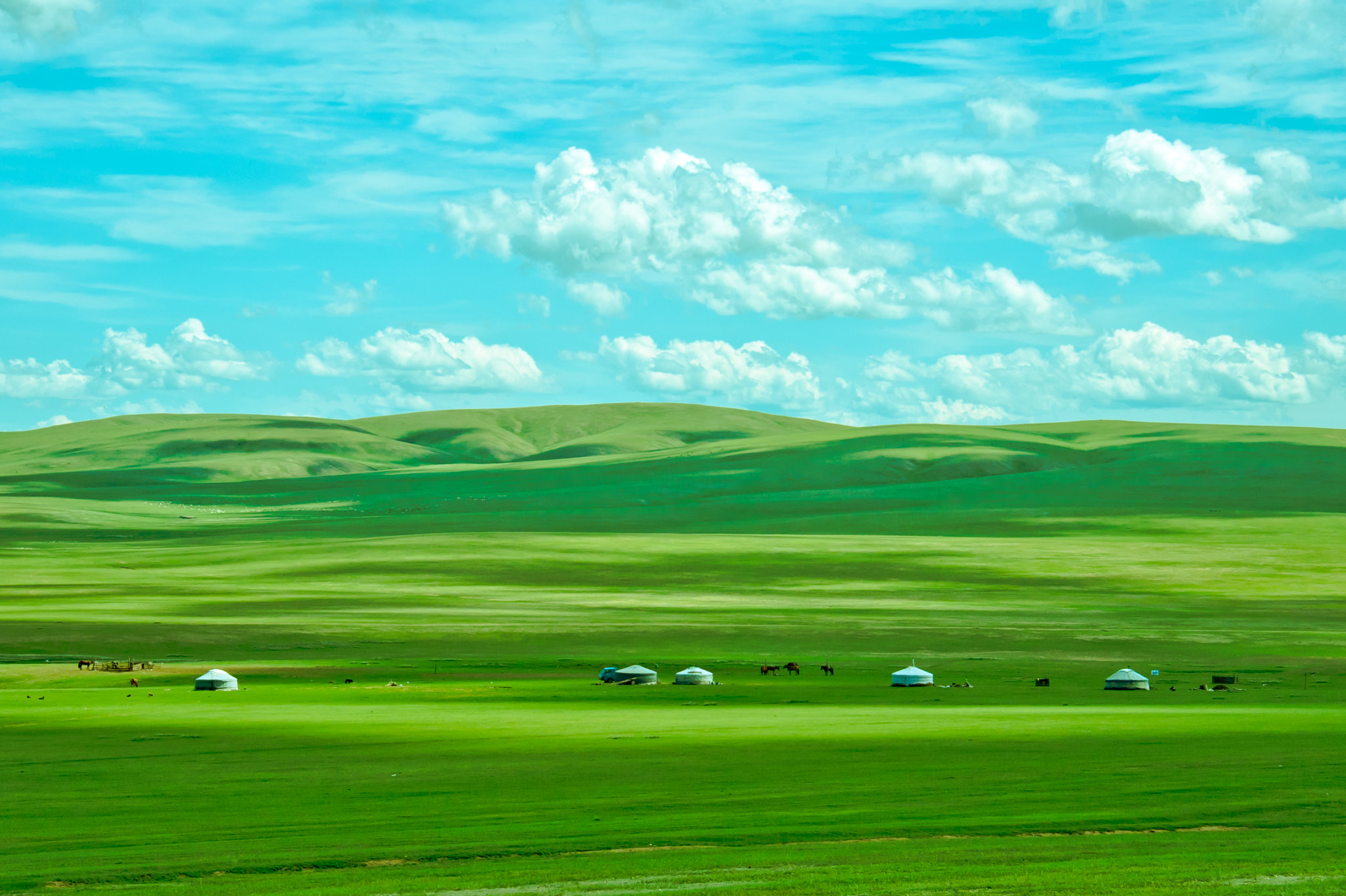~ Mongolia: Land of the Nomad ~