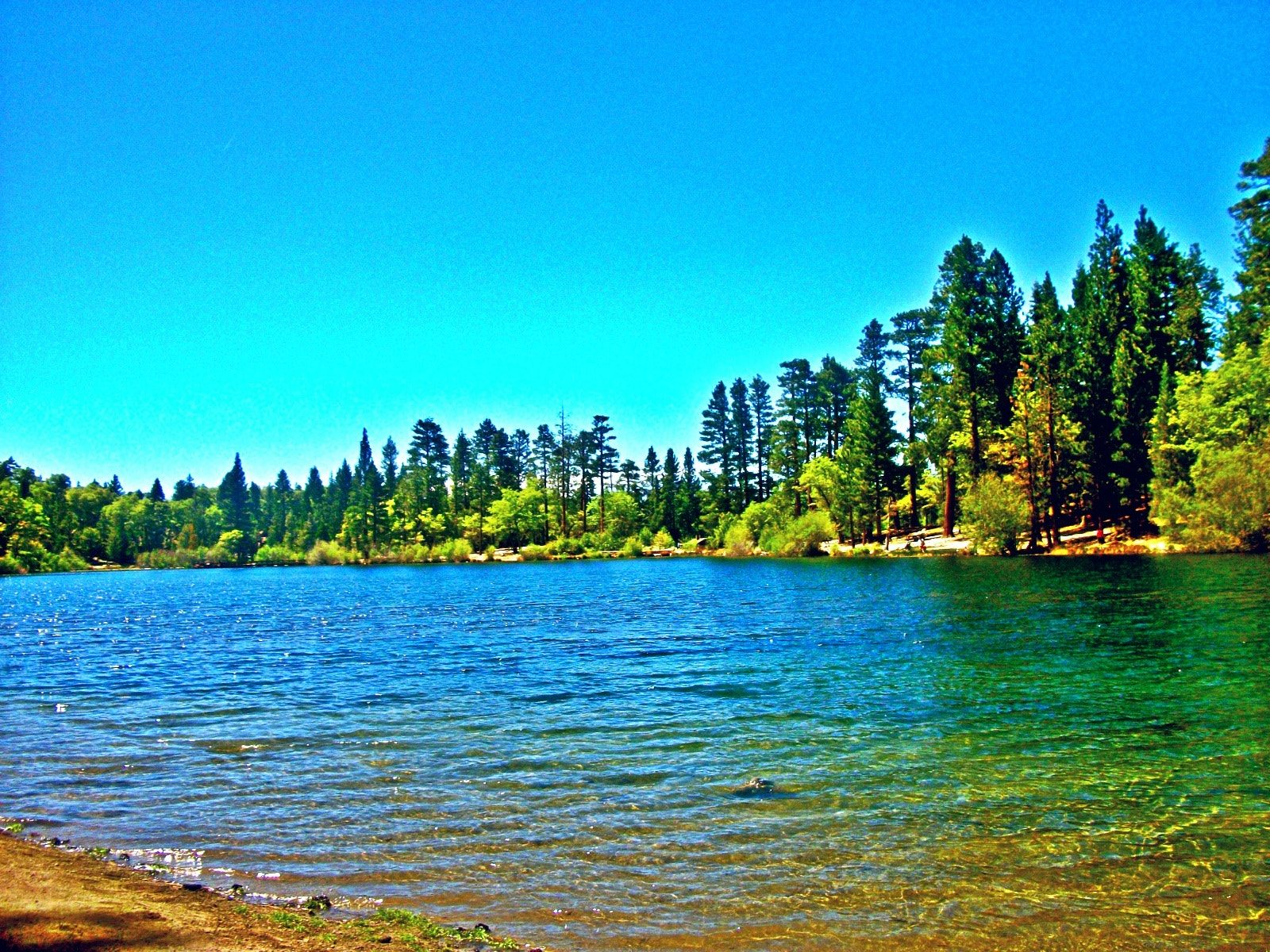 Jenks Lake by Crissy Collins / 500px