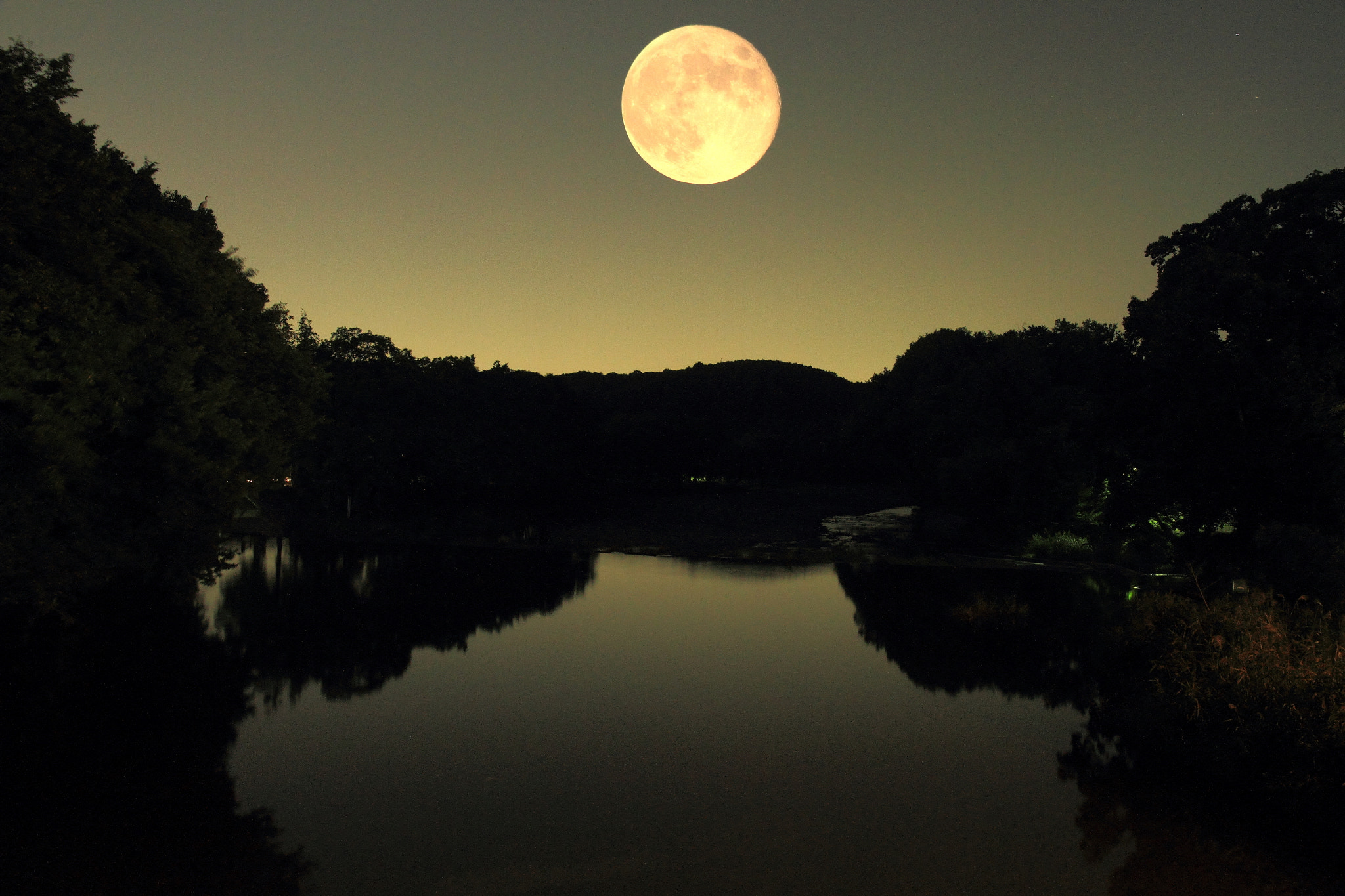 Moonlit Night