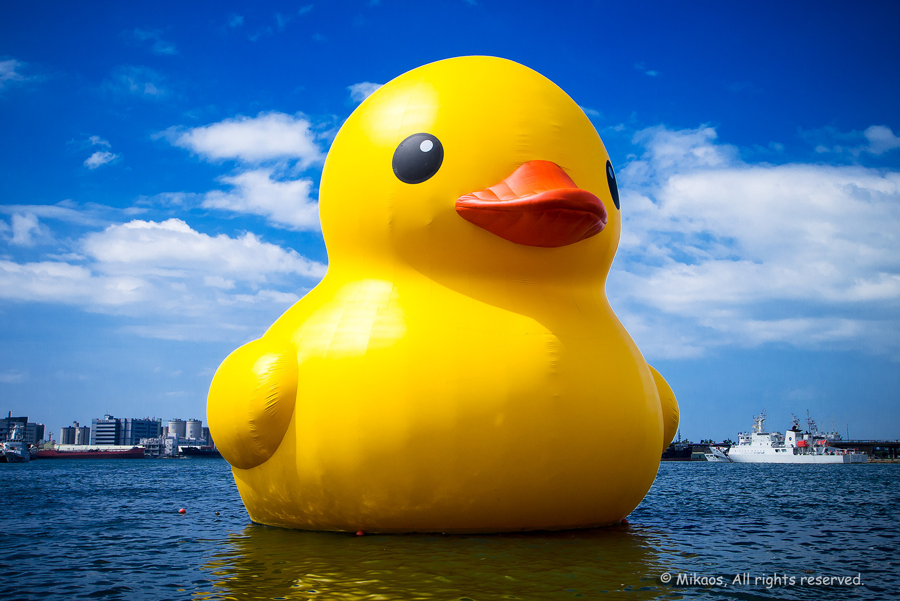 Rubber Duck Taiwan Tour : Kaohsiung