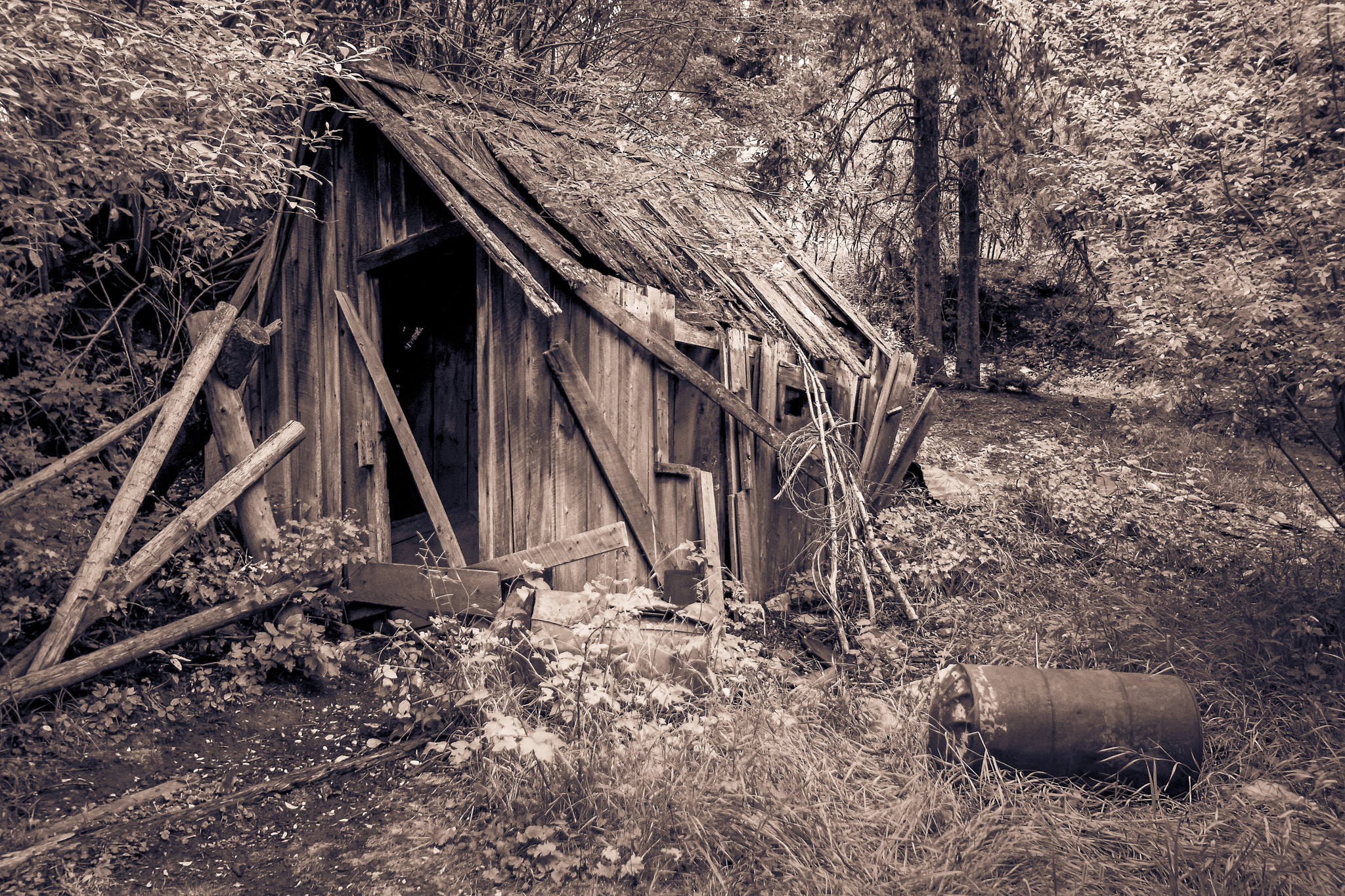 Run Down Shack - Aged by Steve Boone / 500px