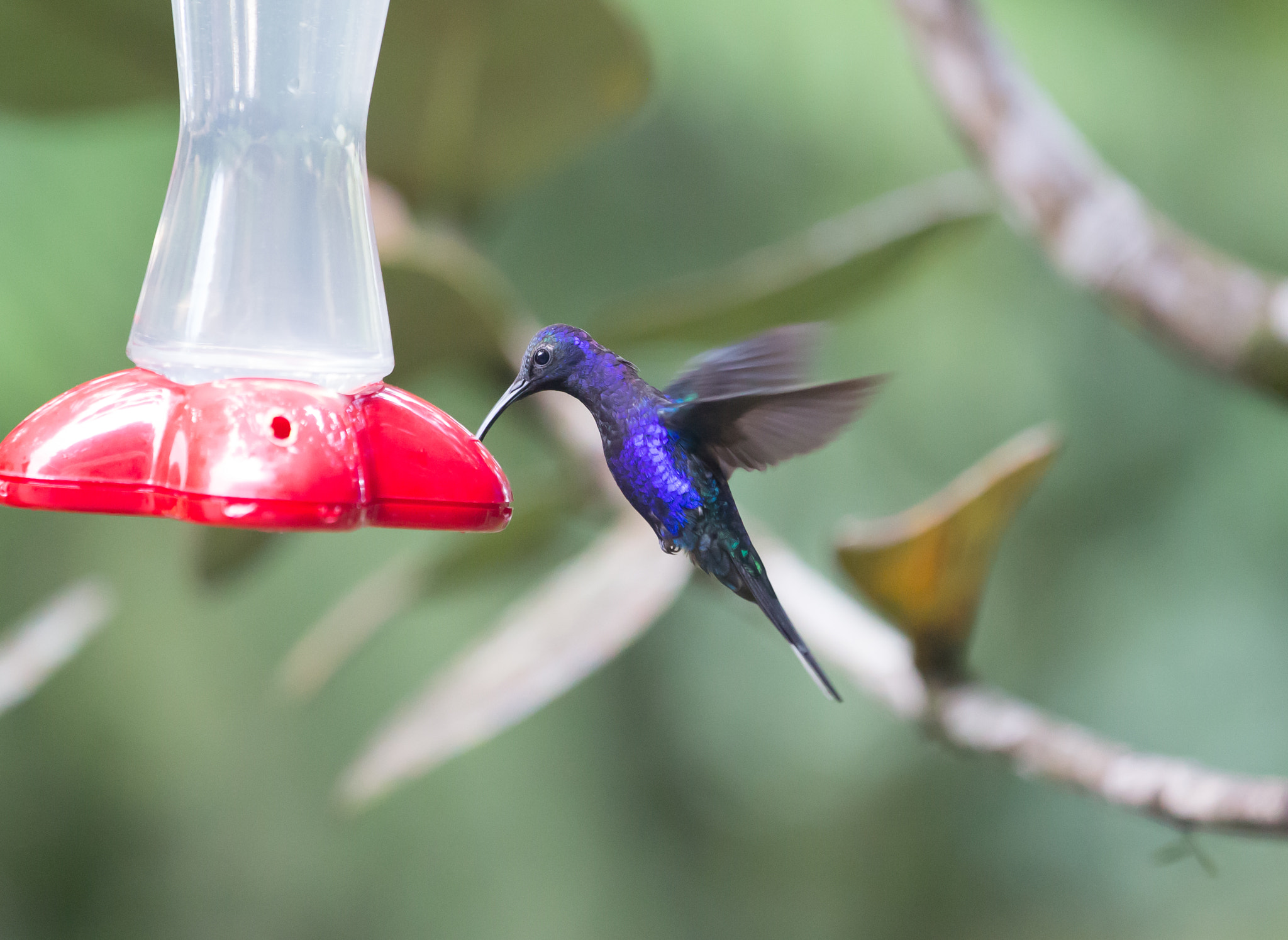 v2?sig=b6363b56b65949b044d25fe255362692d