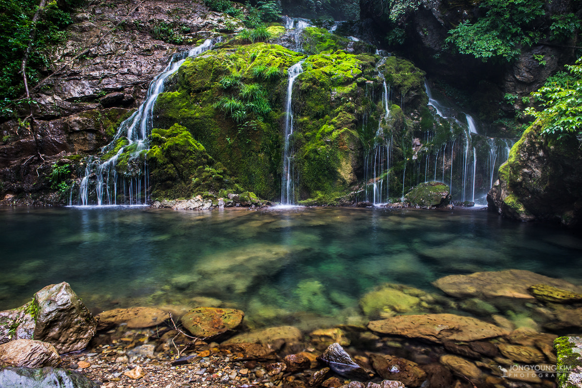 Moss waterfalls