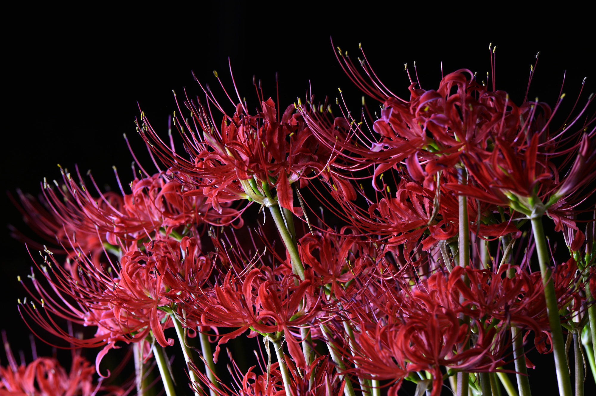 v2?sig=b99ce3417b42c5fce98385cc9180bf27bed98877ddb587b7acf1fbe7583cb287