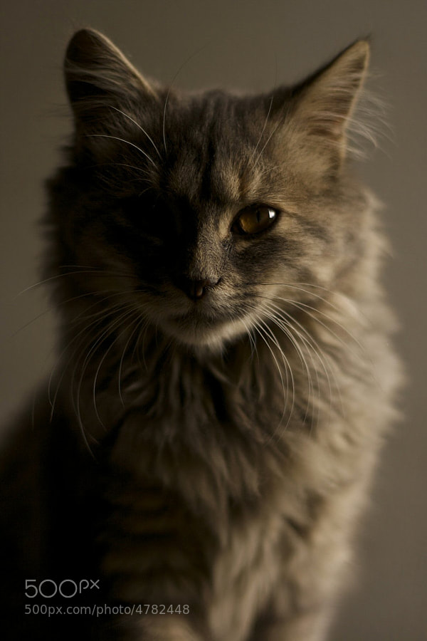 Nina by Stéphane Blin