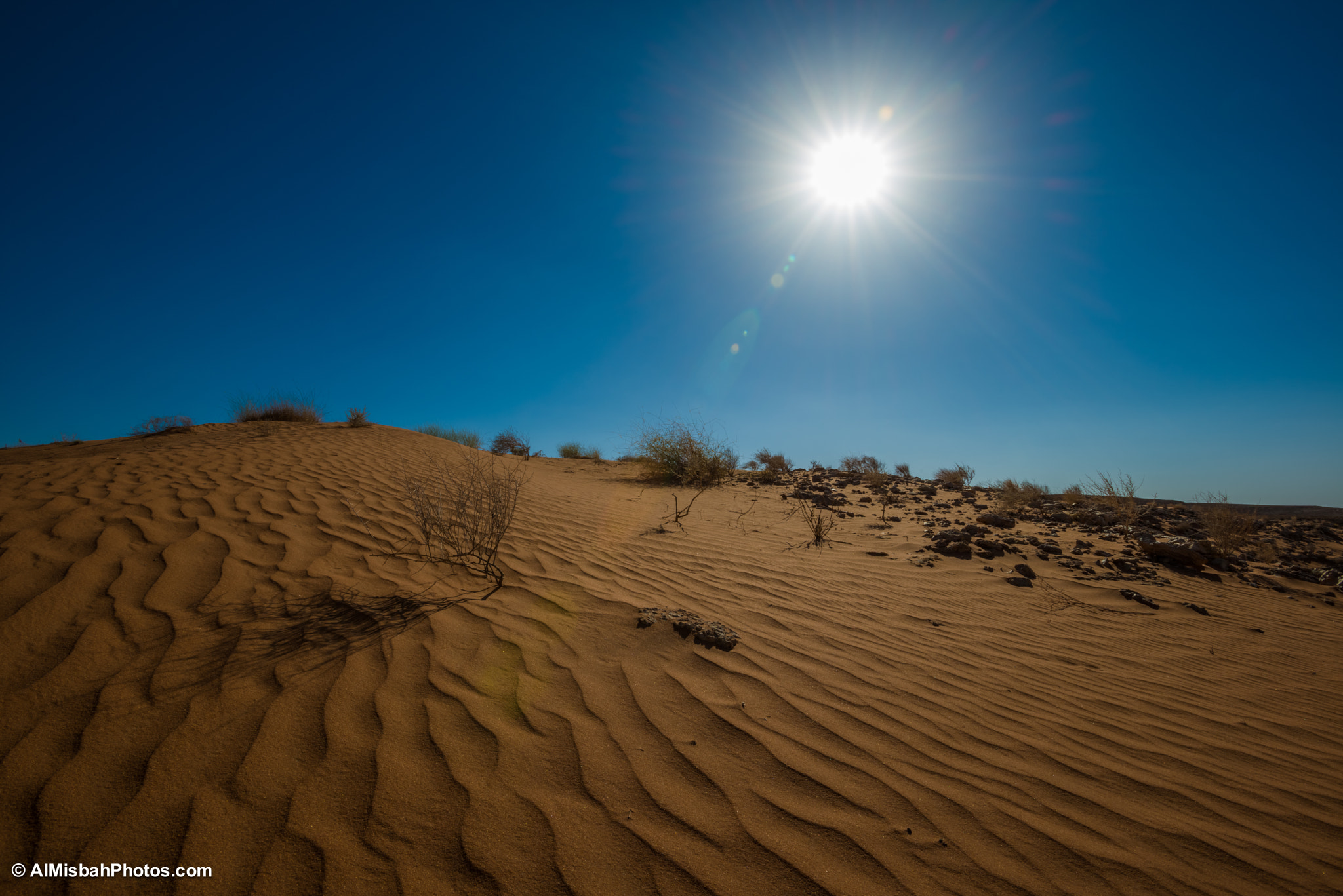 Day in Desert - يوم في الصحراء