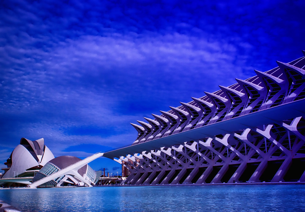 Ciudad de las Artes Valencia by Antonio Calero / 500px
