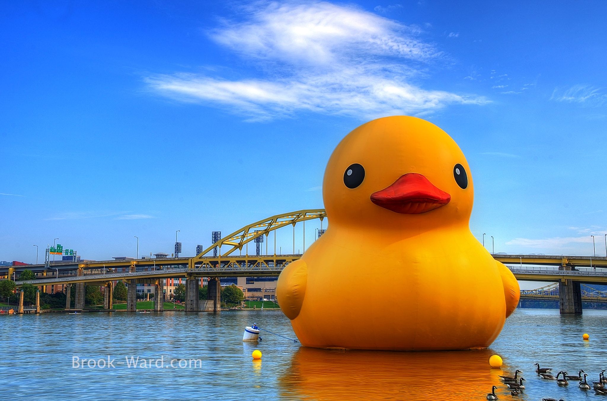 Giant Rubber Duck in Pittsburgh by Brook Ward Photo 48261480 / 500px