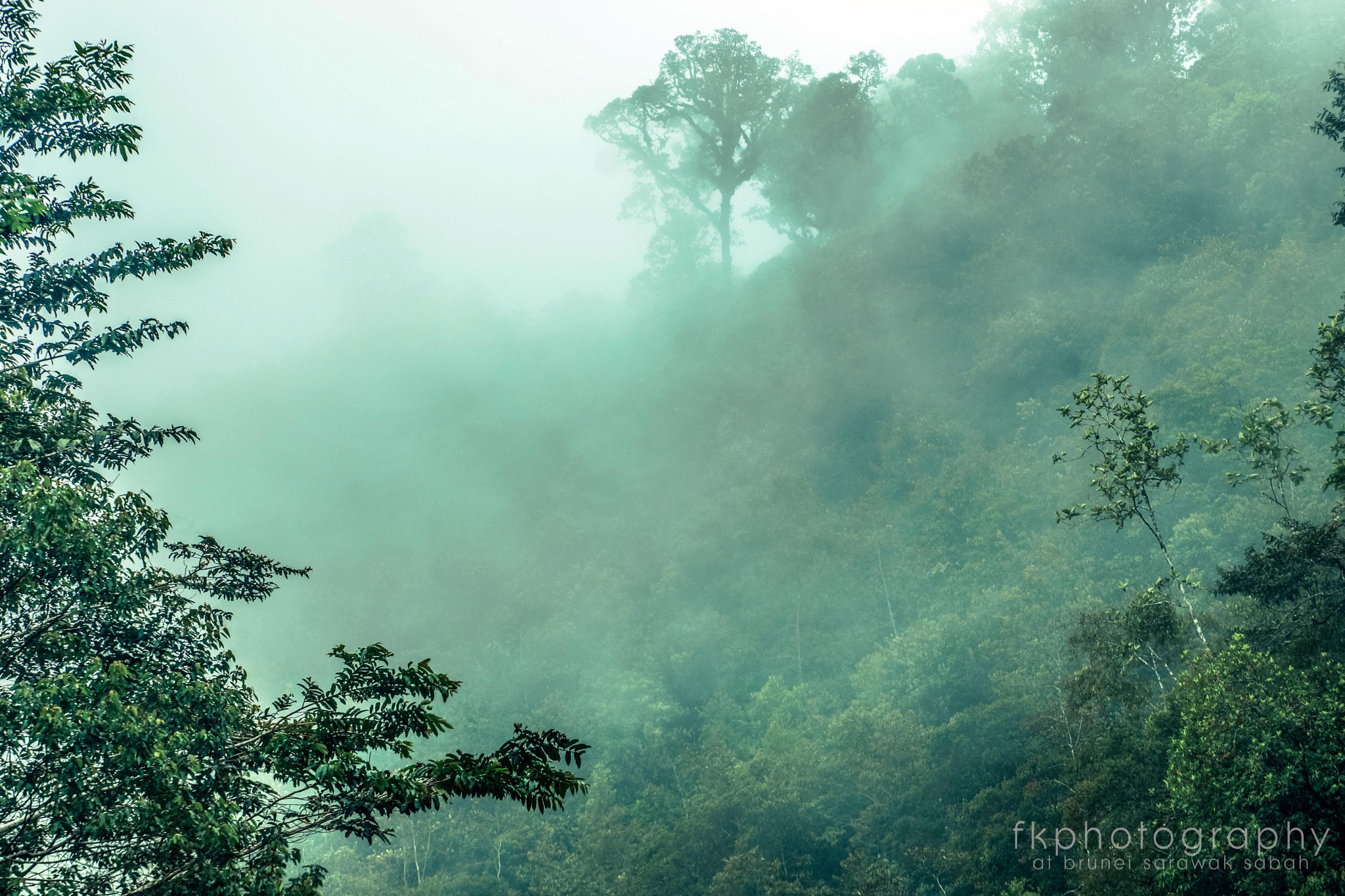 Crocker Range National Park, Keningau, Sabah.Malaysia