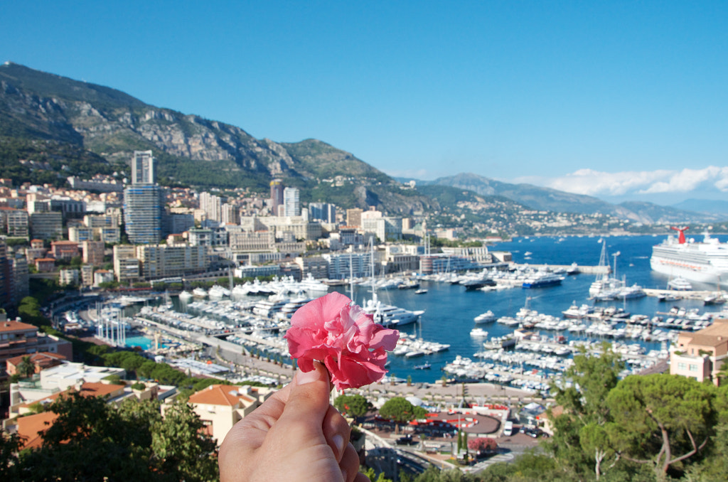 Flower for you - Monaco by João Branco on 500px.com