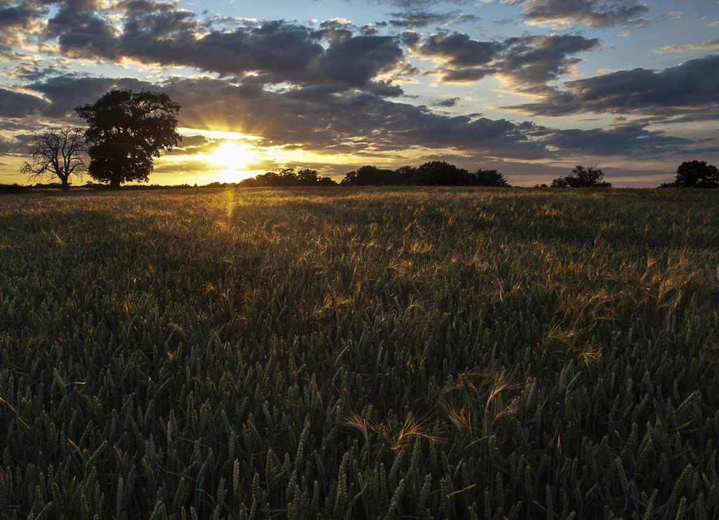 End of Summer by Steve Brookwell on 500px.com