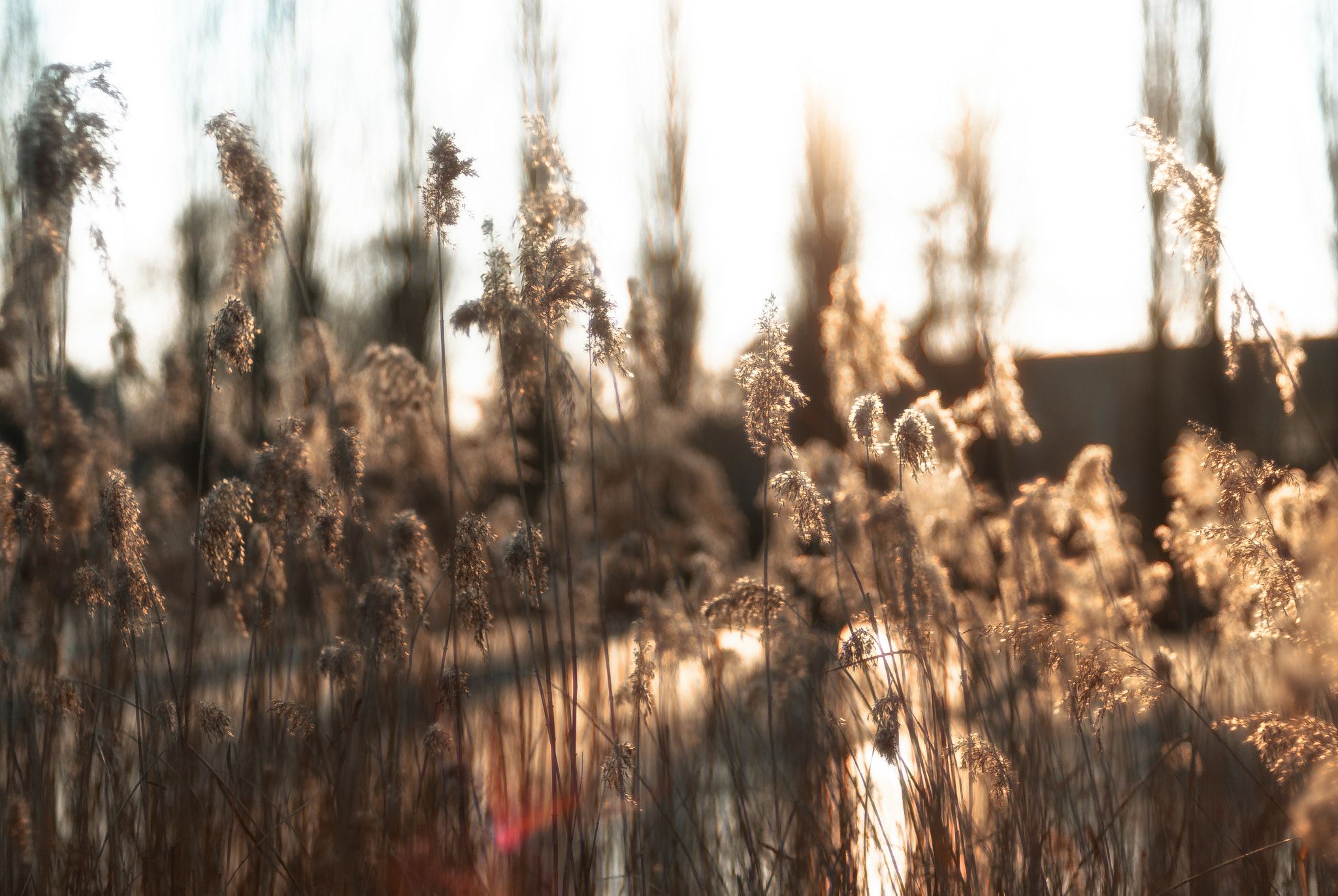 v2?sig=04a68dcb75772e3411a6457cd7d91f3702353c0ce057ab4f3fd4a0fa22167f81