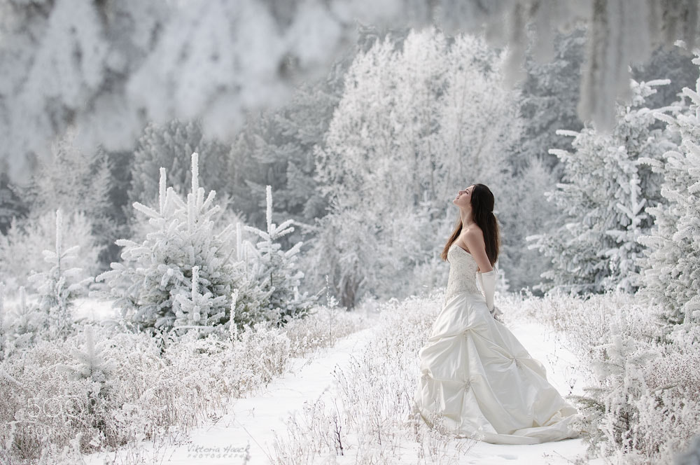 fairytale wedding