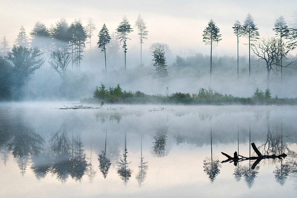 Nikon D800 + Nikon AF-S Nikkor 70-200mm F4G ED VR sample photo. Morning at the lake photography