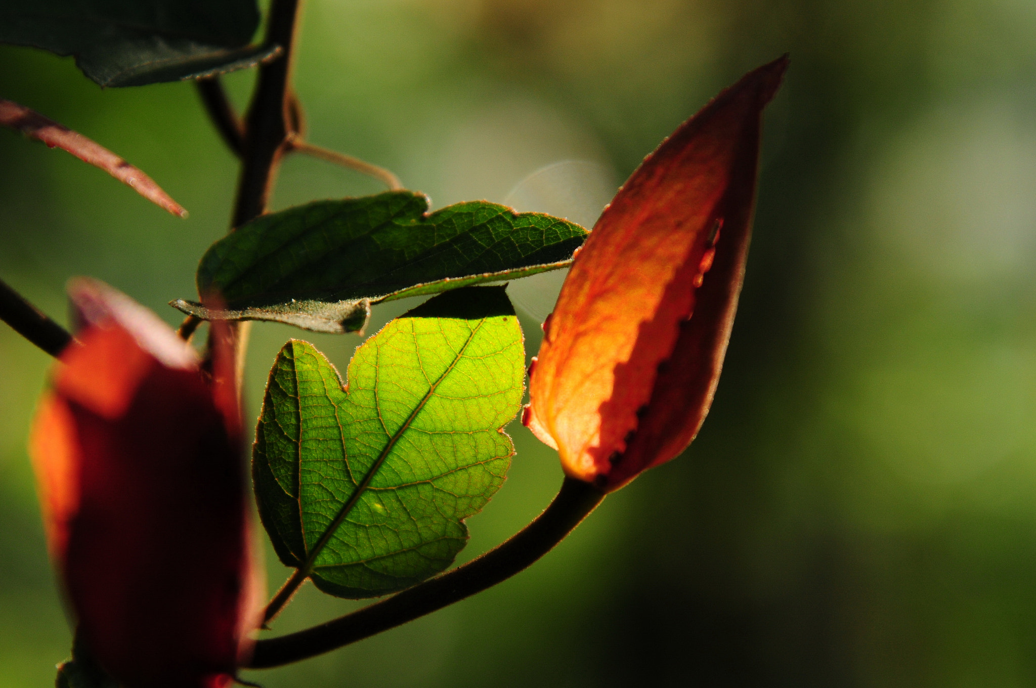 v2?sig=a4acf6409d5b4d84e0c87be7d0d989f0bd3d728575fafd3352c5e829b1506304