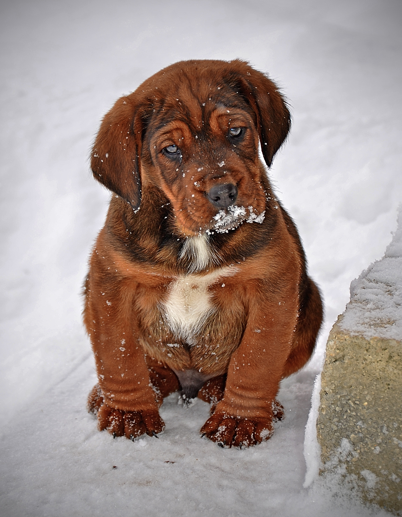 my first snow