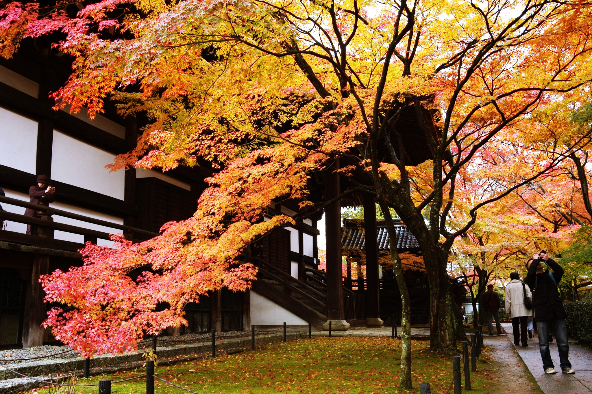 v2?sig=440de1e16d7c1b1d9a28b66e78c212c8c6d0147e473dc64c66f2431108fcbca9