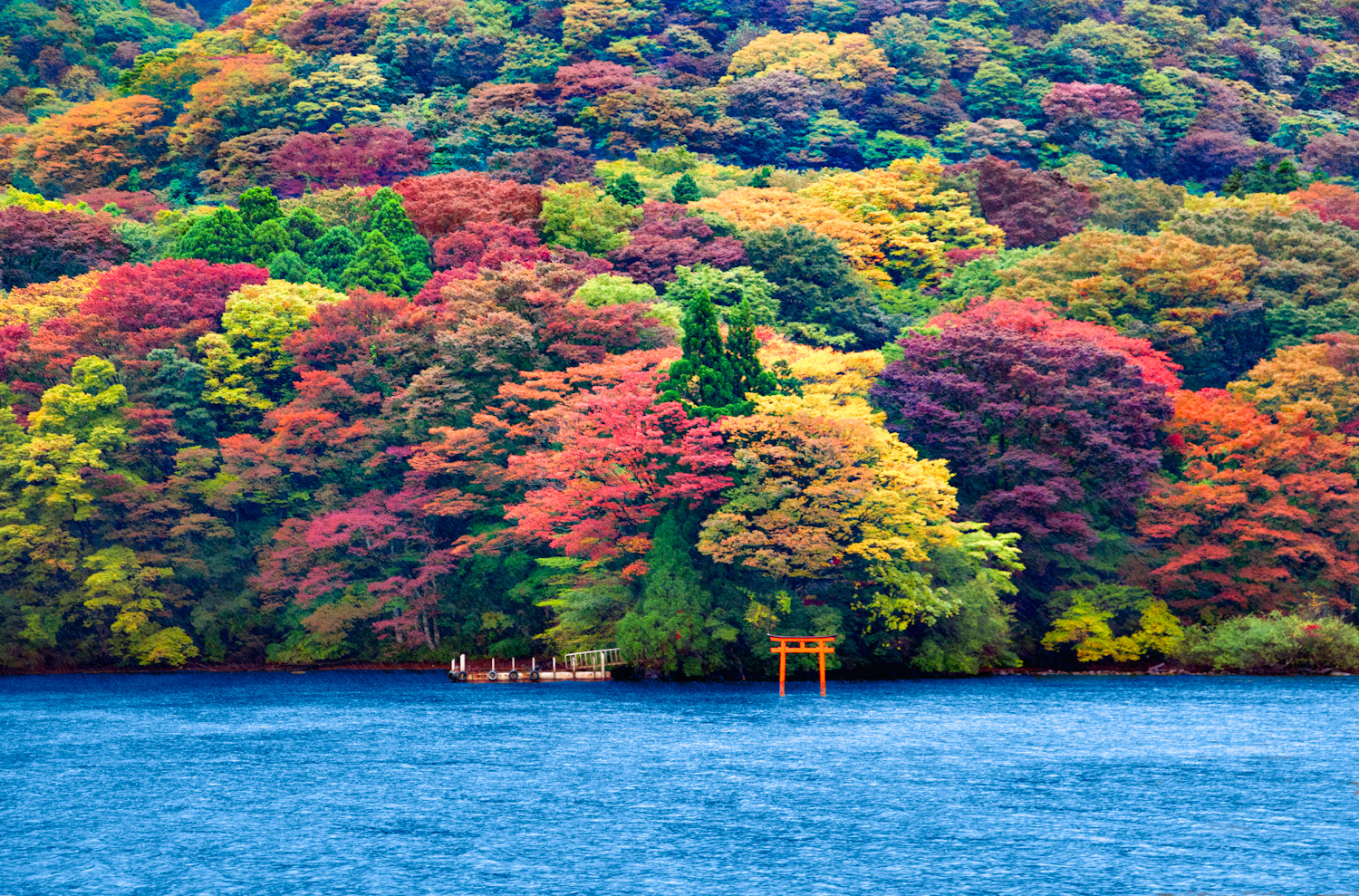 Невероятная осень. Хаконе Япония. Хаконе (вулкан). Япония растительный мир Сикоку. Парк Киото остров Хонсю Япония пейзаж.