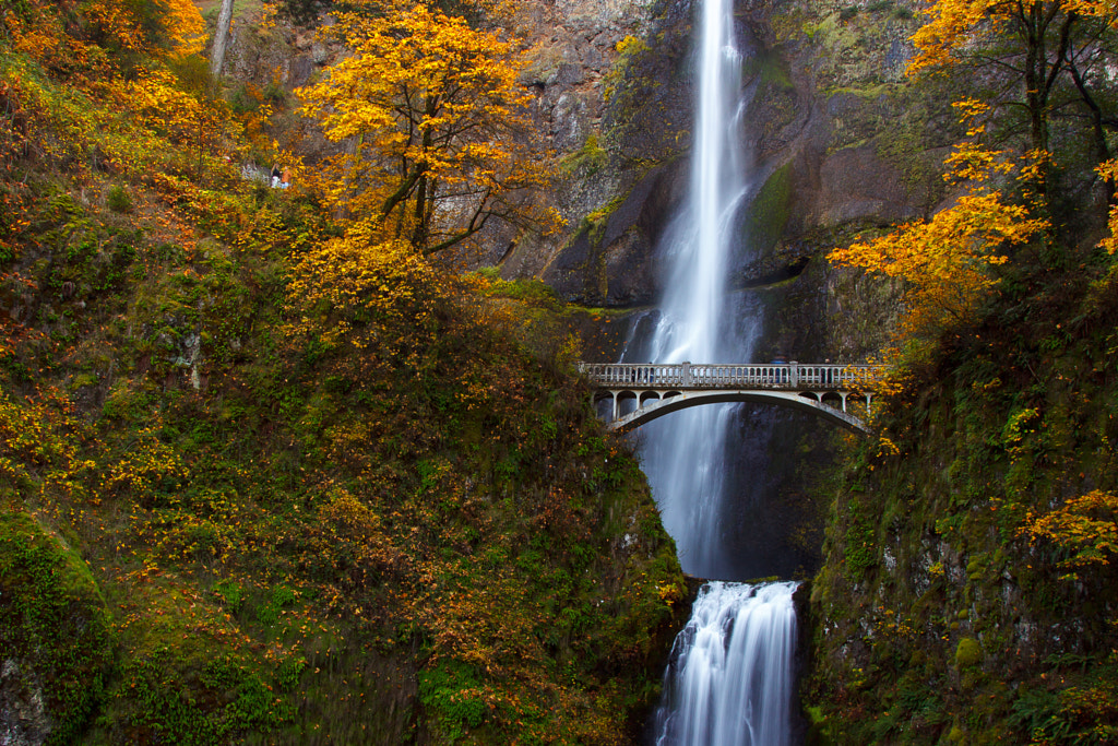 Multnomah Falls in Full Color by Chad Scott on 500px.com