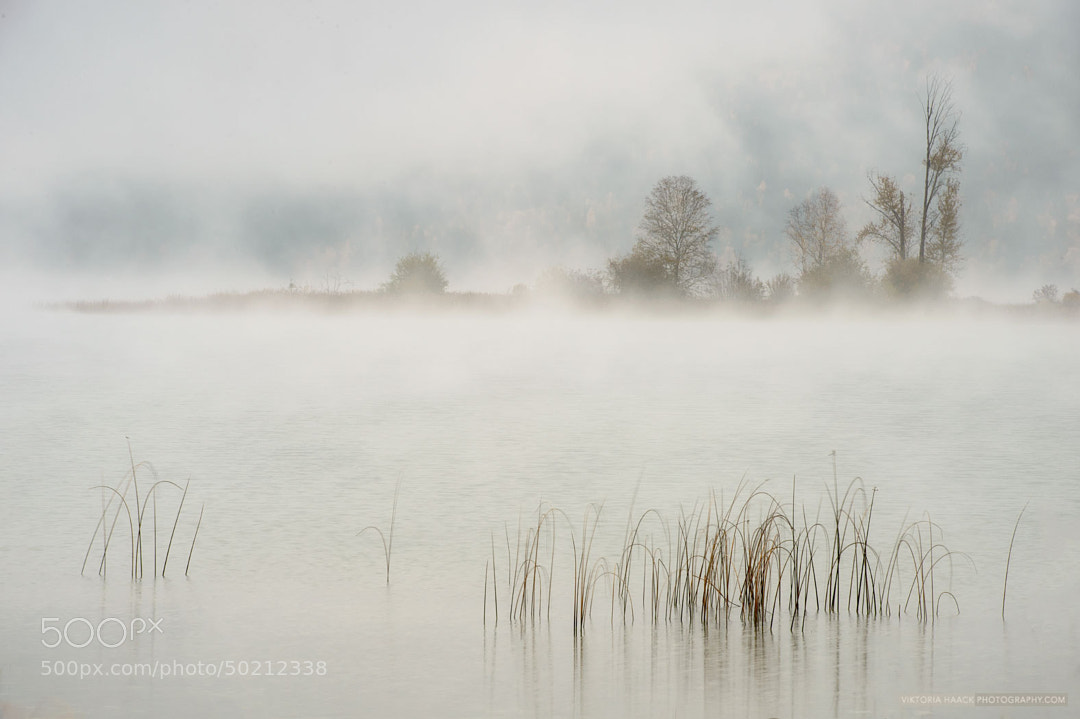 white lake