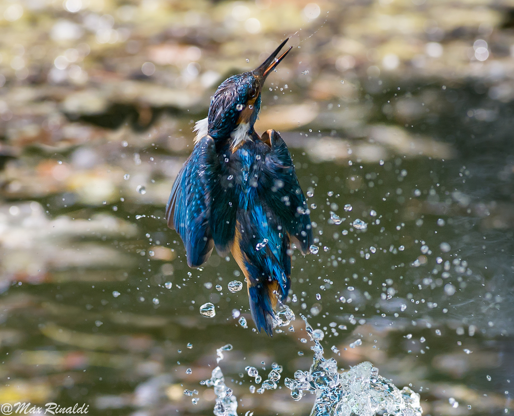 Nikon AF-S Nikkor 300mm F2.8G ED VR II sample photo. Out of control photography