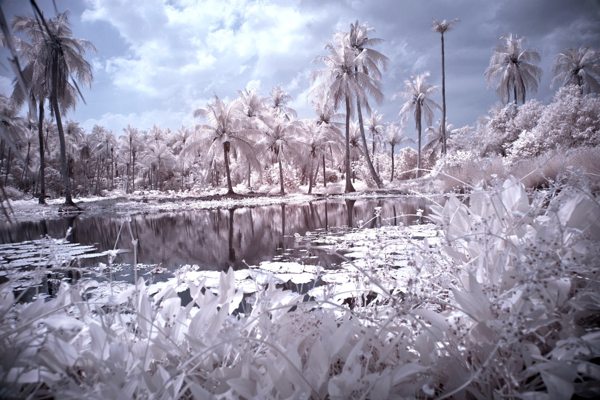 電子煙主機線上購買