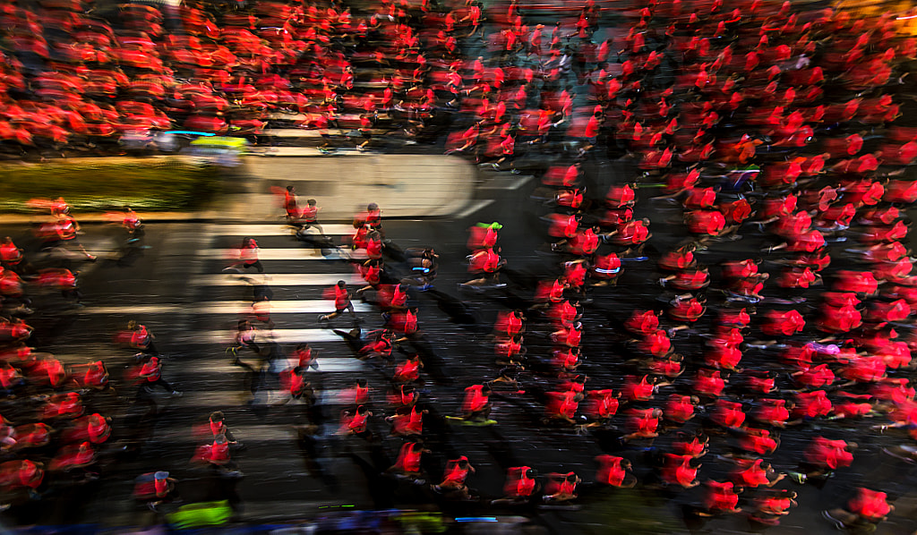 Men & Roses by Shahar Wider on 500px.com